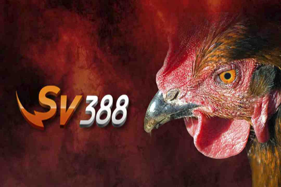 Sv388 sẽ là địa điểm cá cược online tuyệt vời cho bạn